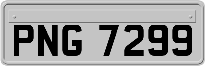 PNG7299