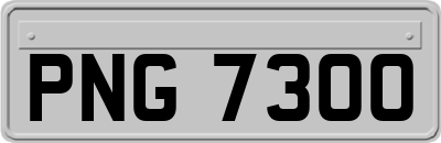 PNG7300