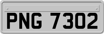 PNG7302