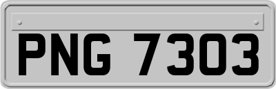 PNG7303