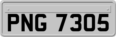 PNG7305