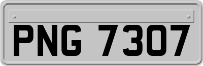 PNG7307