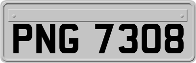 PNG7308