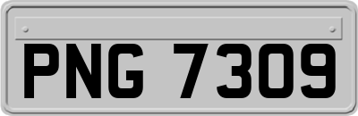 PNG7309