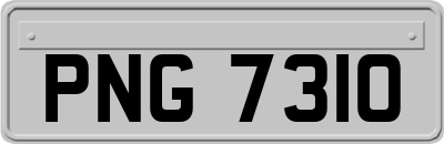 PNG7310