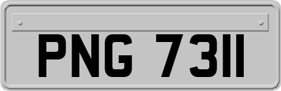 PNG7311