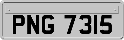 PNG7315