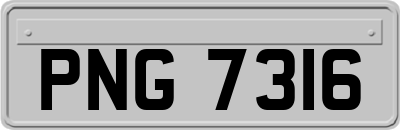 PNG7316