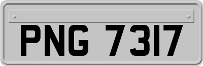 PNG7317