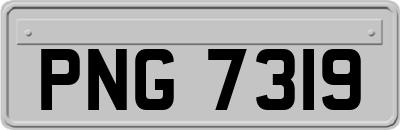 PNG7319