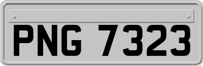 PNG7323