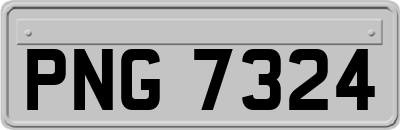 PNG7324