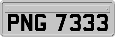 PNG7333