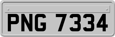 PNG7334