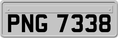 PNG7338