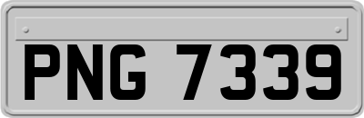 PNG7339