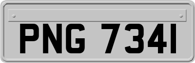 PNG7341