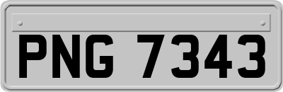 PNG7343