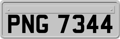 PNG7344
