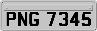PNG7345