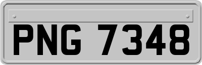 PNG7348