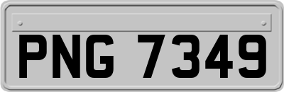 PNG7349
