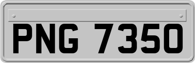 PNG7350