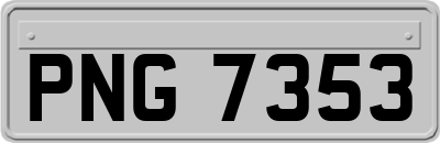 PNG7353
