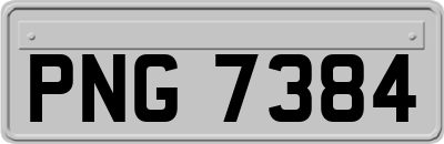 PNG7384