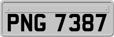 PNG7387