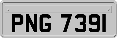 PNG7391