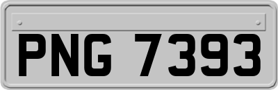 PNG7393