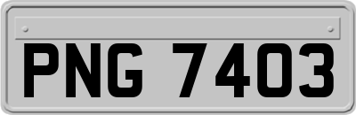 PNG7403