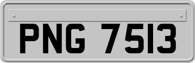 PNG7513