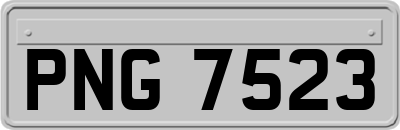 PNG7523