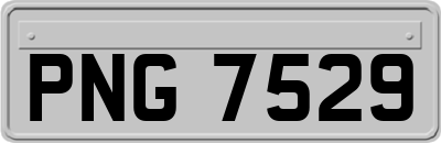PNG7529