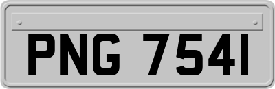 PNG7541