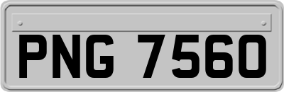 PNG7560