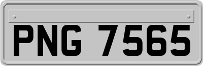 PNG7565