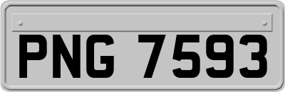 PNG7593