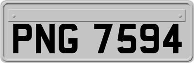 PNG7594