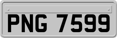PNG7599