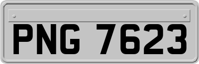 PNG7623