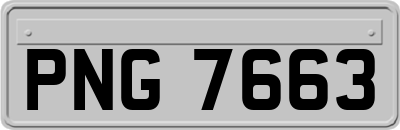 PNG7663