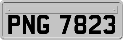 PNG7823