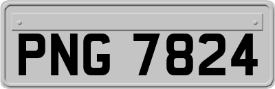 PNG7824