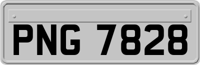 PNG7828