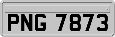 PNG7873