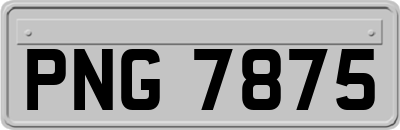 PNG7875