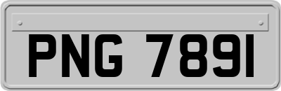 PNG7891